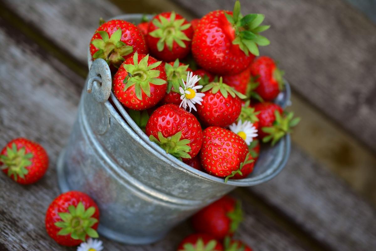 Fresca golosità: lo zuccotto alle fragole