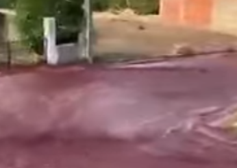 Portogallo, inondazione di vino rosso nelle strade di Anadia | VIDEO