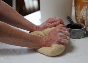 Come si fanno i panini morbidi al latte