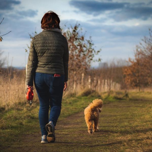 Perché la camminata meditativa fa bene? Benefici, consigli e dove f…