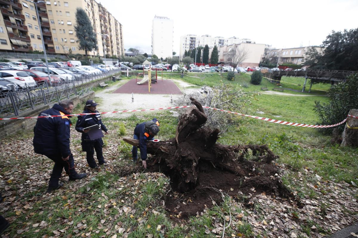 Francesca Ianni morta colpita da un albero a Roma,  grave l’amica: illesi i tre figli della vittima