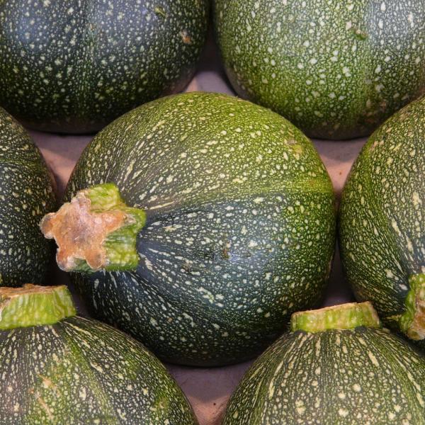 Zucchine tonde ripiene: le ricette più sfiziose