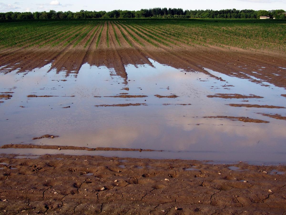 Alluvione in Emilia-Romagna: Cause, Effetti e Rischi Ambientali