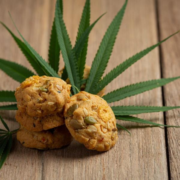 Mangiare marijuana è più pericoloso che fumarla, i rischi di intossicazione sono più elevati