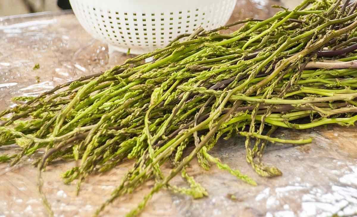 Gli asparagi, gli ortaggi di stagione