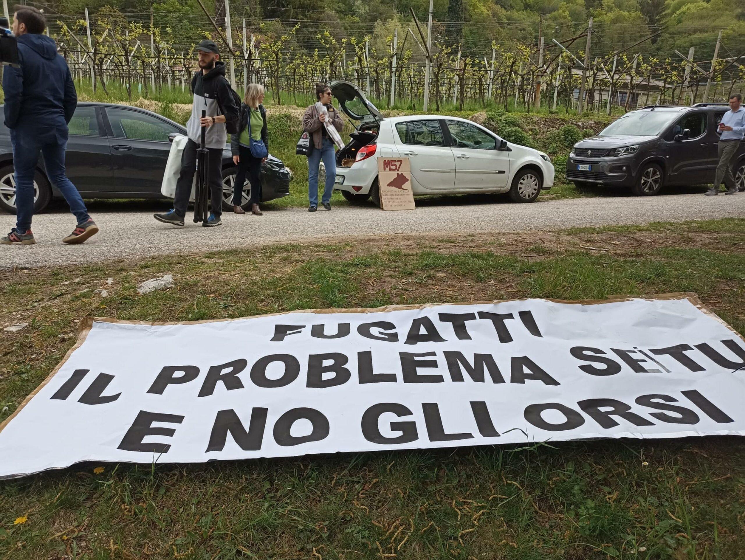 Trentino, domani la manifestazione contro il ddl ammazza-orsi. Vitturi (LAV): “Gli animali non possono pagare le colpe di Fugatti”