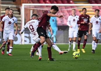 E’ una sfida tutta granata: canale tv e diretta streaming di Torino-Salernitana