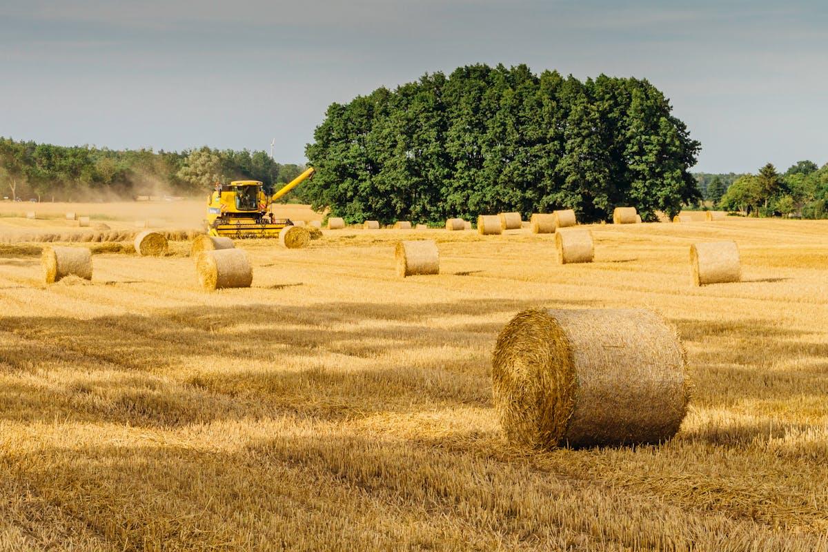 Congedo parentale operai agricoli: come funziona il pagamento diretto