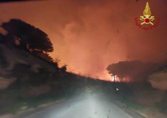 Brucia la Sicilia, incendi a Palermo e Trapani: in fiamme ettari di vegetazione