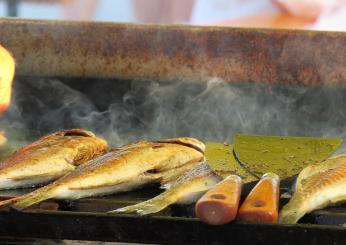 Come cucinare la ricciola: le ricette più sfiziose