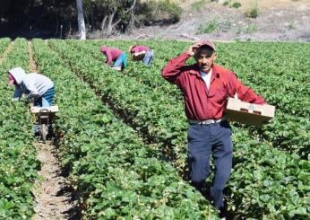 Lavoro “in nero” in crescita, 2 aziende su 3 risultano irregolari