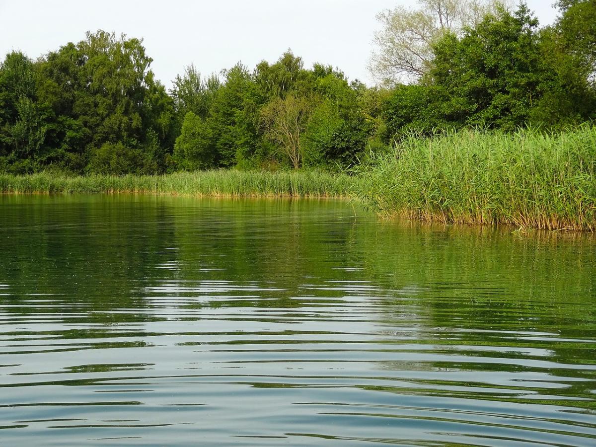 Non solo siccità: la qualità dell’acqua dei nostri fiumi e laghi