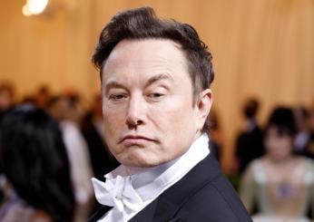 Elon Musk, il mega party di Halloween nel Castello di Dracula