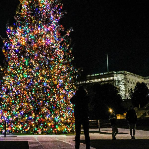 Belgio, viene travolta da un albero di Natale di 20 metri a Oudenaarde: morta una 63enne