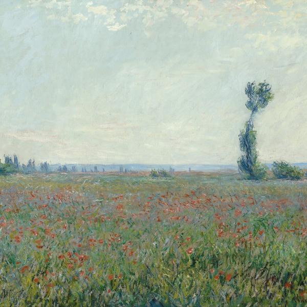 Mostra Monet Padova 2024: date, orari, biglietti e opere