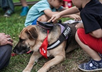 Vivere con animali domestici riduce le allergie nei bambini: il nuovo studio giapponese