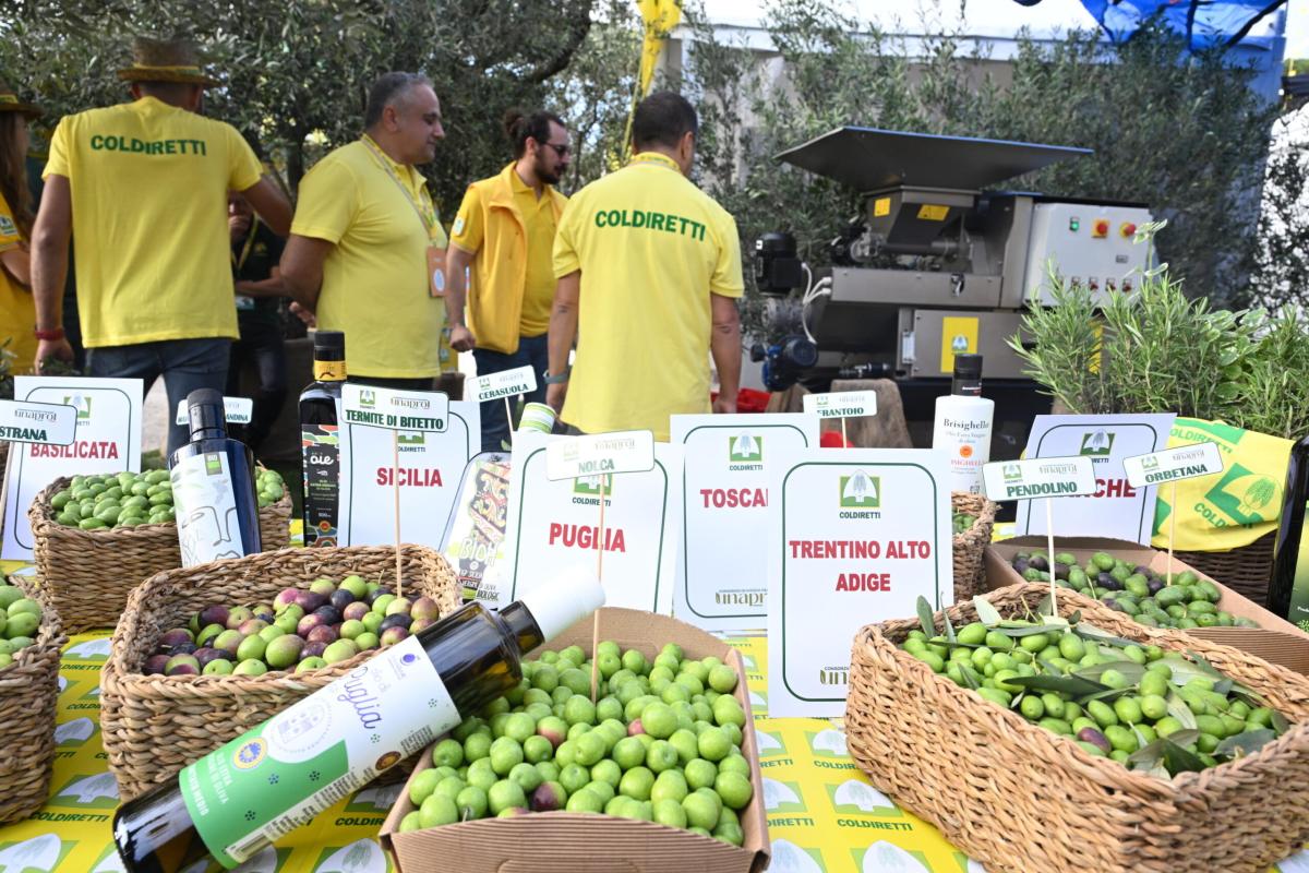 Coldiretti, spesa a tavola: Campania in testa con 552 euro a famiglia