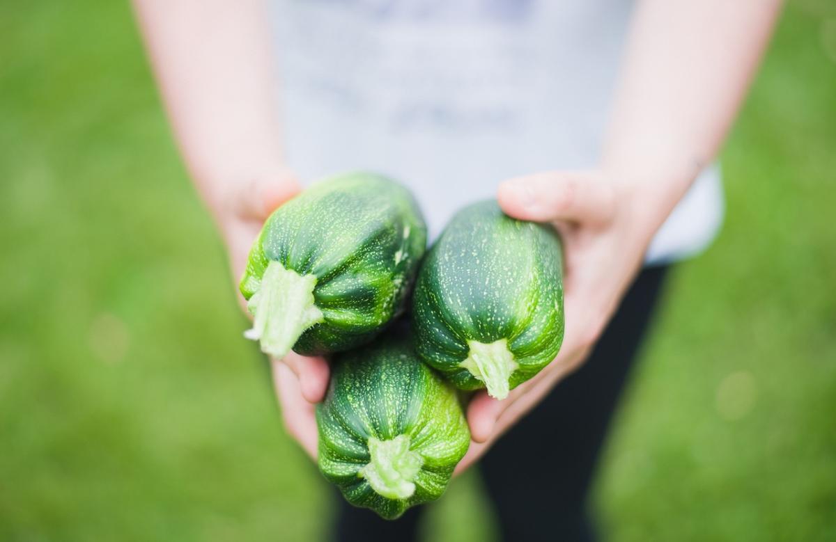 A tutto gusto! Il flan di zucchine e ricotta