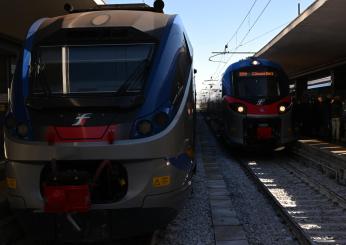 Topo sul treno per Sorrento: è caos sulla Circumvesuviana di Napoli