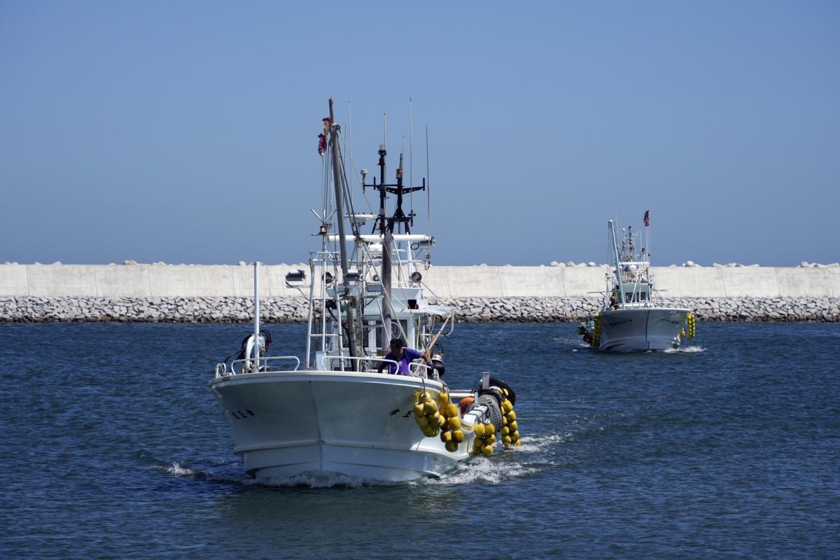 Pesca: il fermo resta da Brindisi a Reggio Calabria, quali problemi…