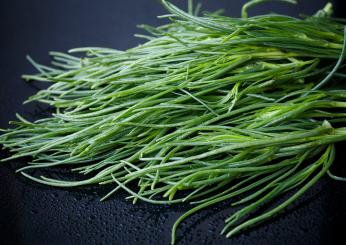 Tre ricette con agretti per gustare le primavera