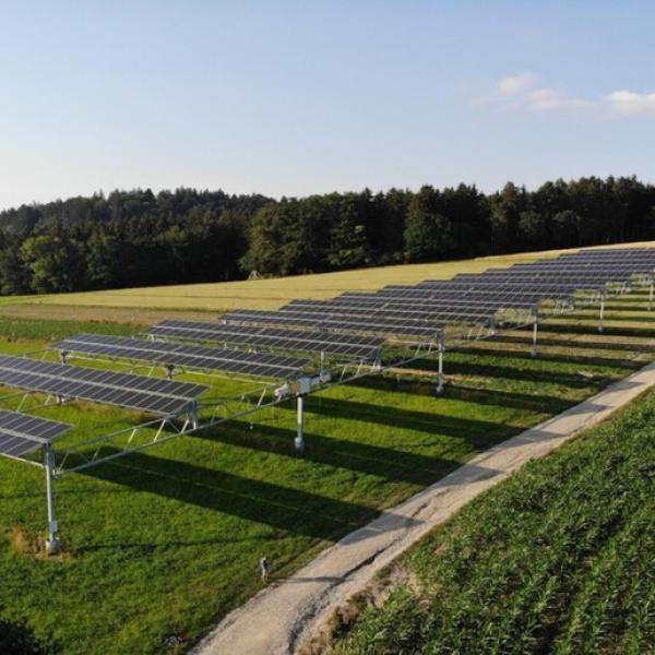 Agrivoltaico, produzione di energia e sostenibilità alimentare