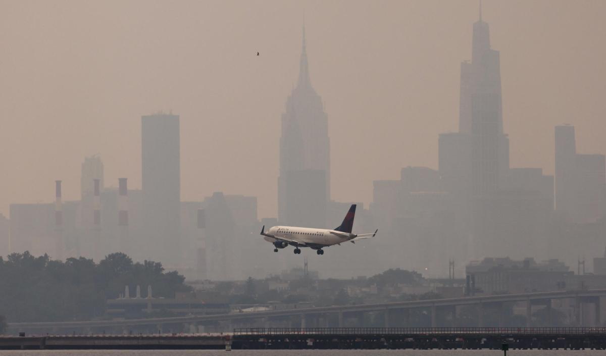 Tragedia su un volo per New York, morto 11enne: aveva problemi preg…