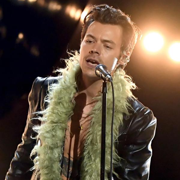 Harry Styles parla italiano a Campovolo, il monologo fa impazzire i fan | VIDEO