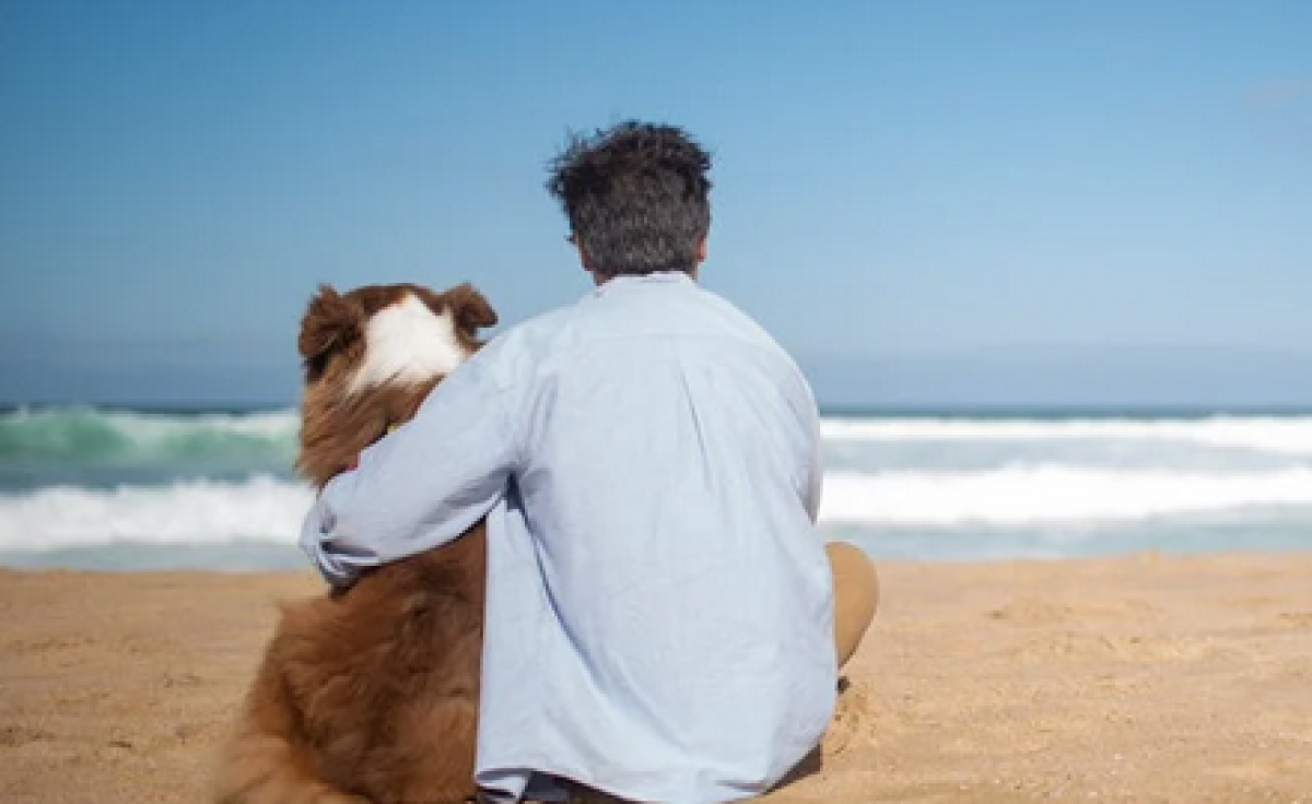 Quando è consentito portare il cane in spiaggia? Regole da rispettare e dove è vietato