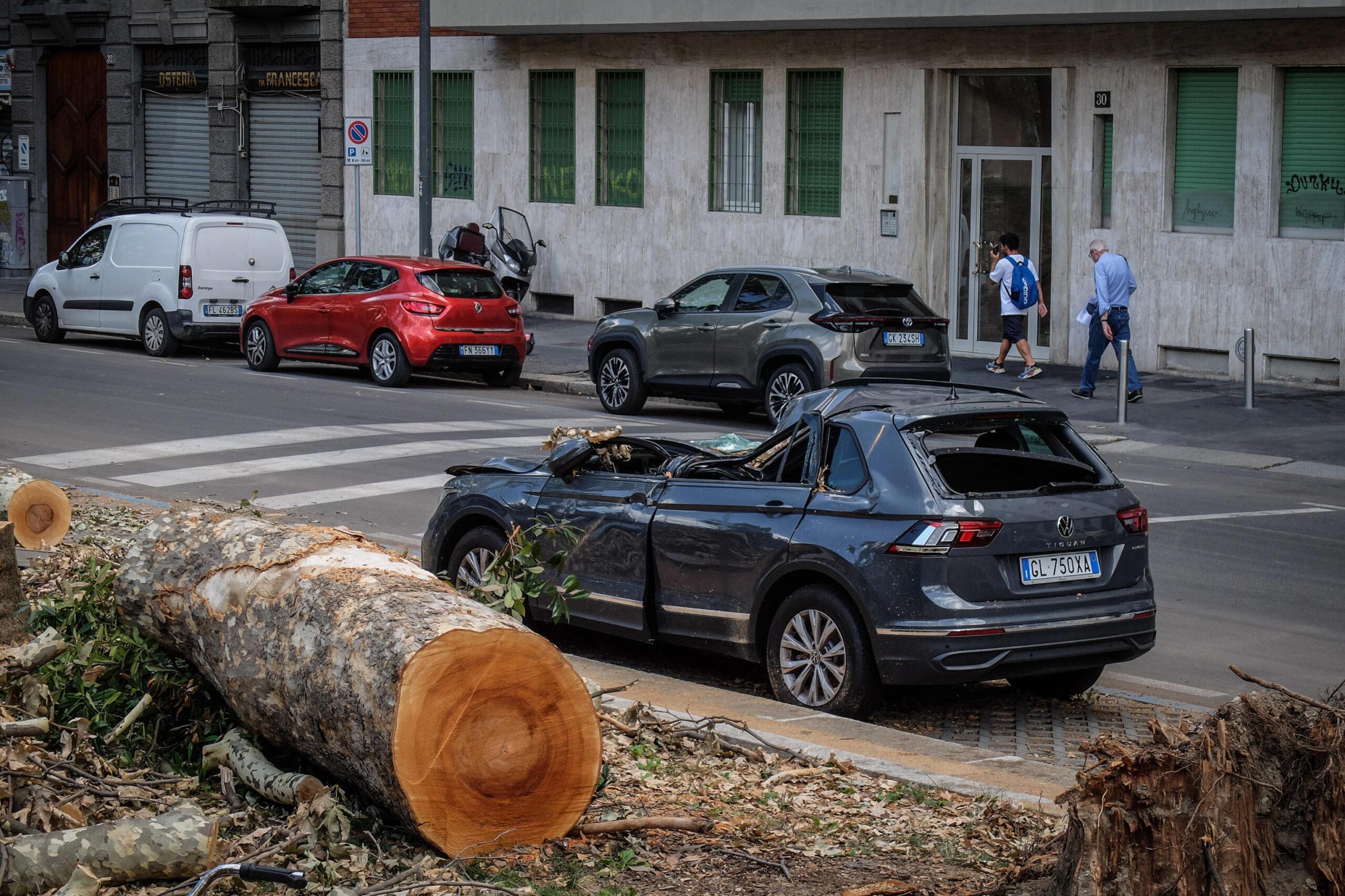 Roma, il maltempo causa danni e disagi: alberi caduti, intervengono i Vigili del Fuoco