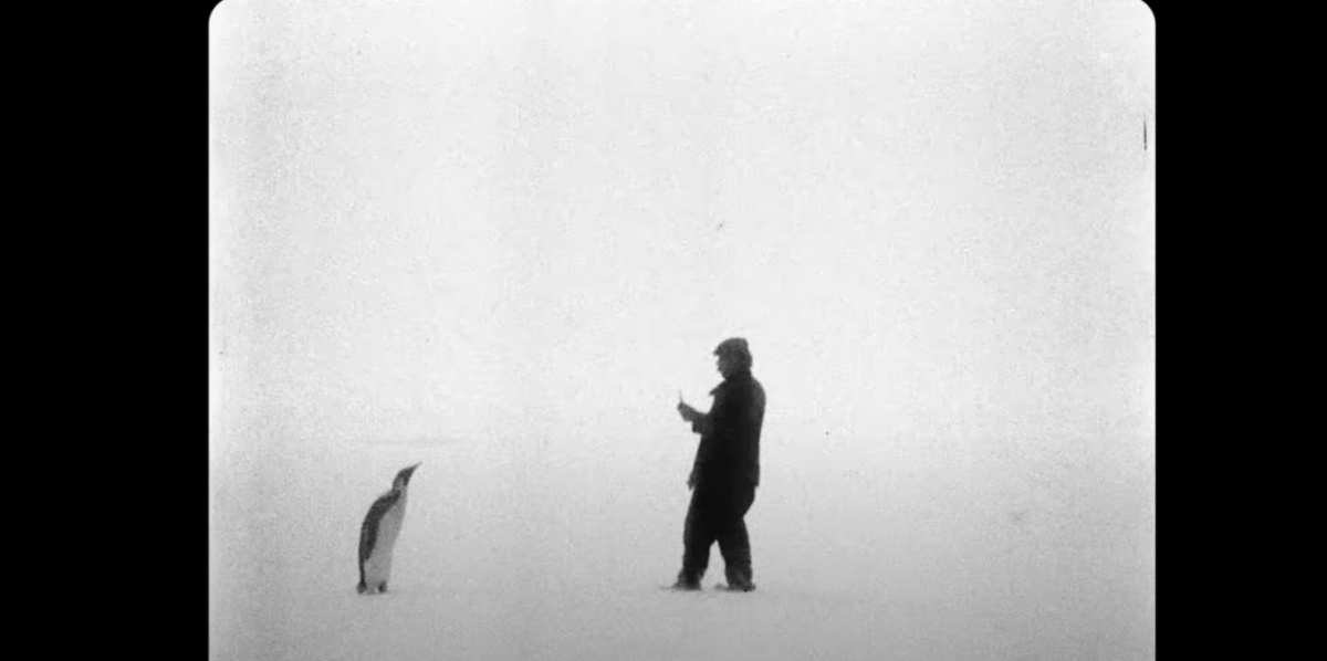 Quando esce “Bestiari, Erbari, Lapidari” di Massimo D’Anolfi e Martina Parenti? Trama e durata del film al Festival di Venezia 2024