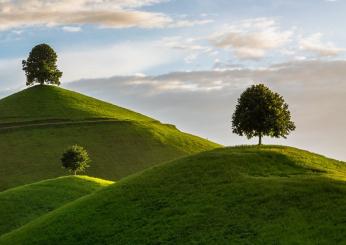 Giornata nazionale degli alberi: storia, significato e frasi per celebrare la ricorrenza