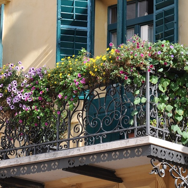 Come ottenere un balcone fiorito? Quali piante scegliere in primavera