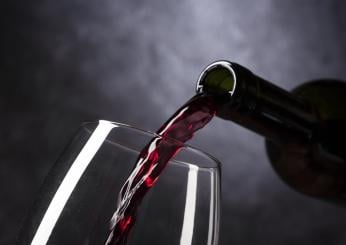 Vino rosso e mal di testa, quali sostanze causano la cefalea e che rimedi ci sono per prevenirla