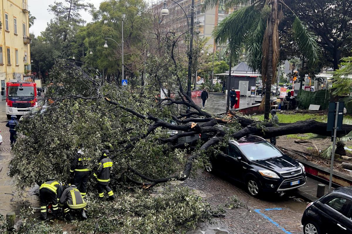 Vento forte a Napoli: spezzata Croce a Cariati e altri danni, alber…