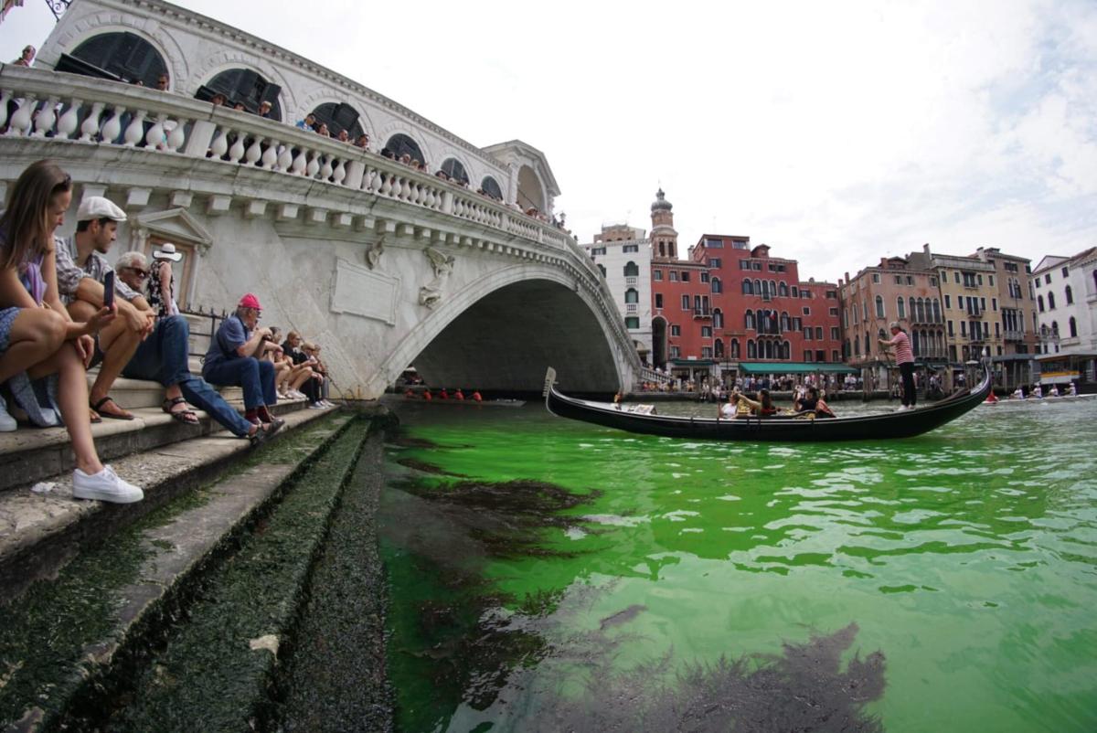 Venezia, acqua verde fosforescente nel Canal Grande: si indaga sull…