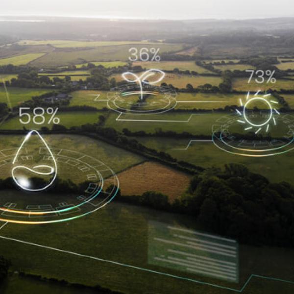 Risparmio idrico in agricoltura: le soluzioni innovative per la gestione sostenibile dell’acqua