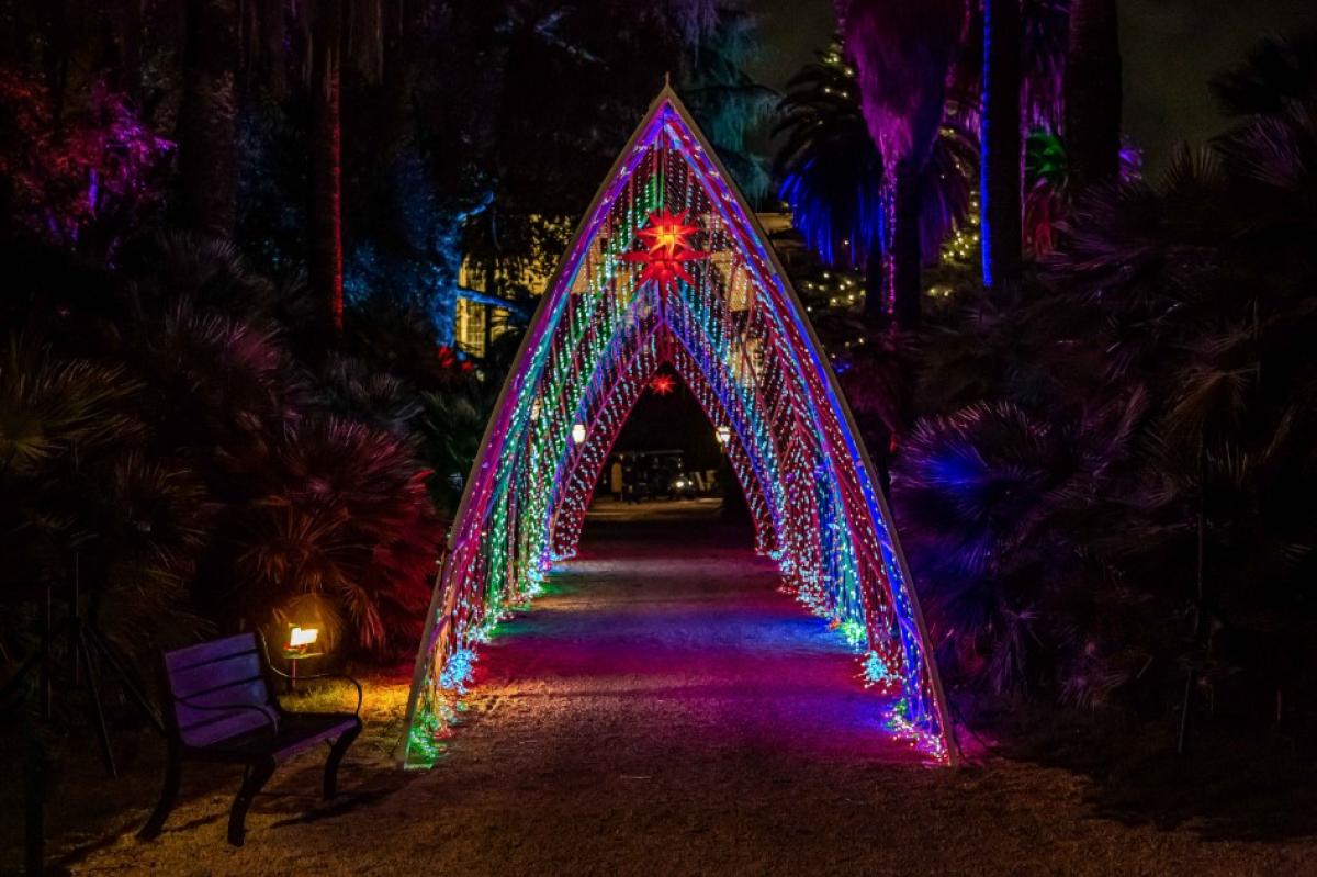 Roma, arriva oggi all’Orto Botanico la mostra multisensoriale di light art “Incanto di luci”