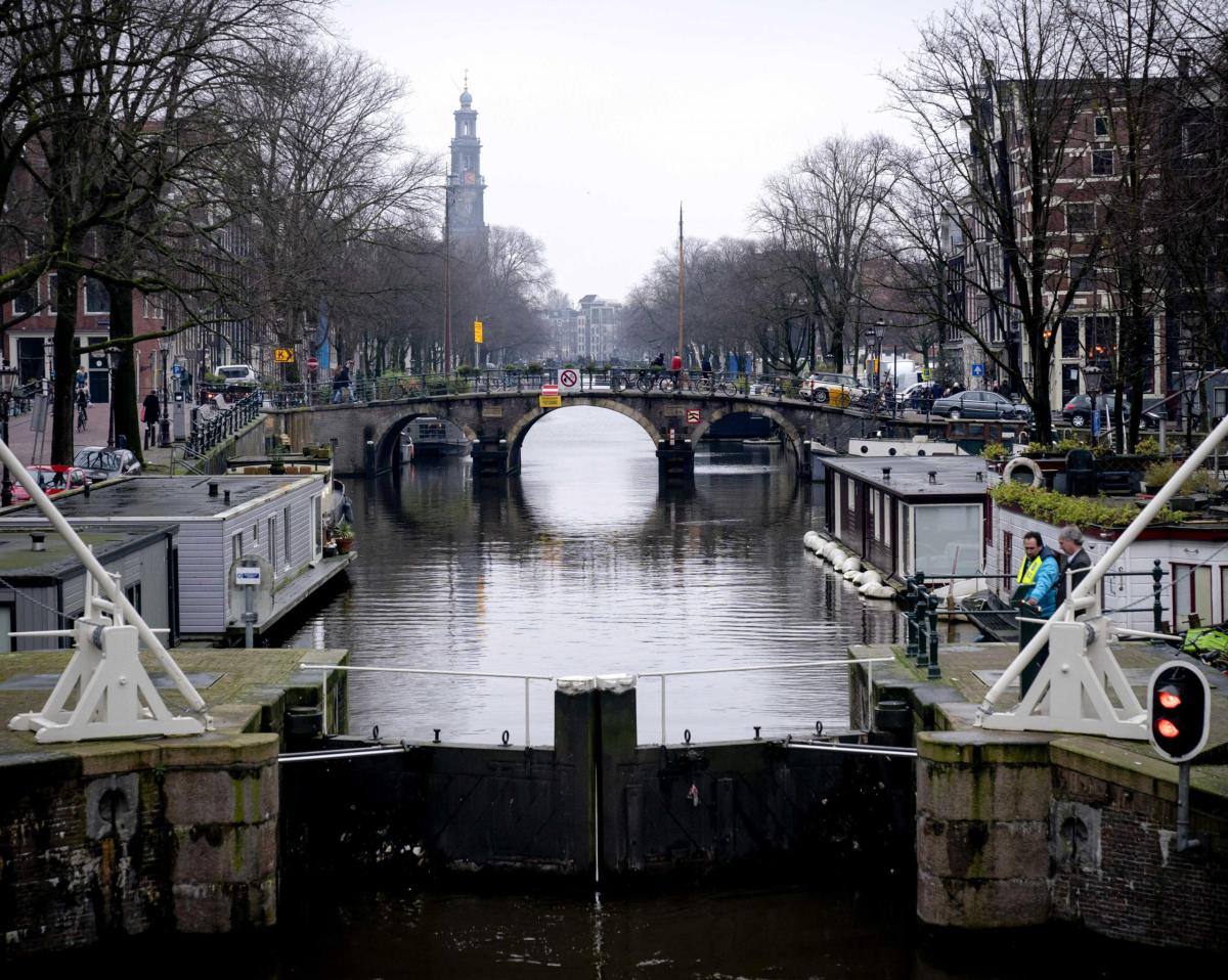 Amsterdam rischia di affondare a causa di un fungo che attacca le f…