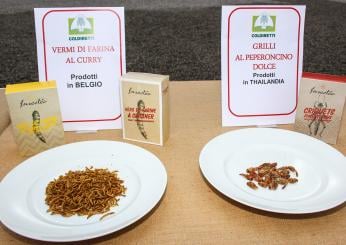 Cibo a base di insetti? Un italiano su tre è curioso di assaggiarlo