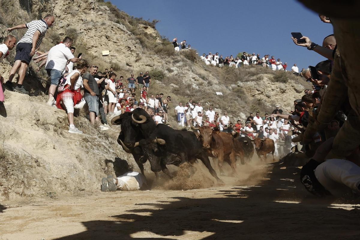 Genova, un anziano viene travolto da un toro: operazioni di salvata…