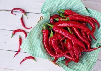 Qual è il peperoncino più piccante al mondo? La classifica