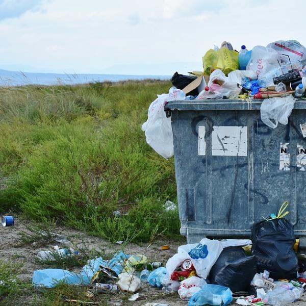 Il 12 settembre è la Giornata internazionale senza sacchetti di plastica