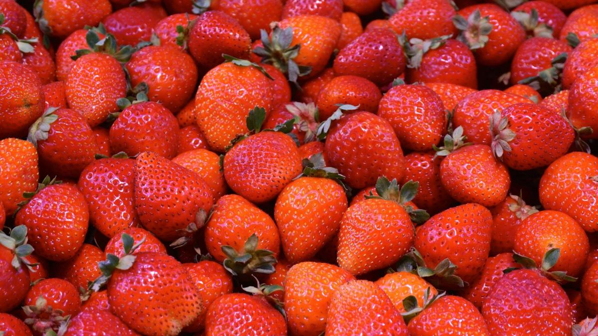 Quale torta per la festa della mamma con le fragole? Provate la torta giardino