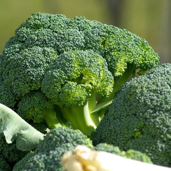 Come cucinare i broccoli in padella: ricette e accostamenti