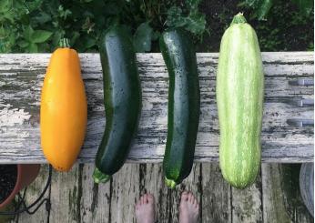 Creatività in cucina: ecco come cucinare le zucchine in modo diverso