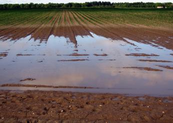 Alluvione in Emilia-Romagna: Cause, Effetti e Rischi Ambientali