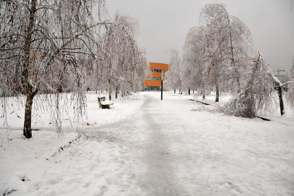 “Bomba di neve” in Slovenia: disagi in molte città e danni alle ret…