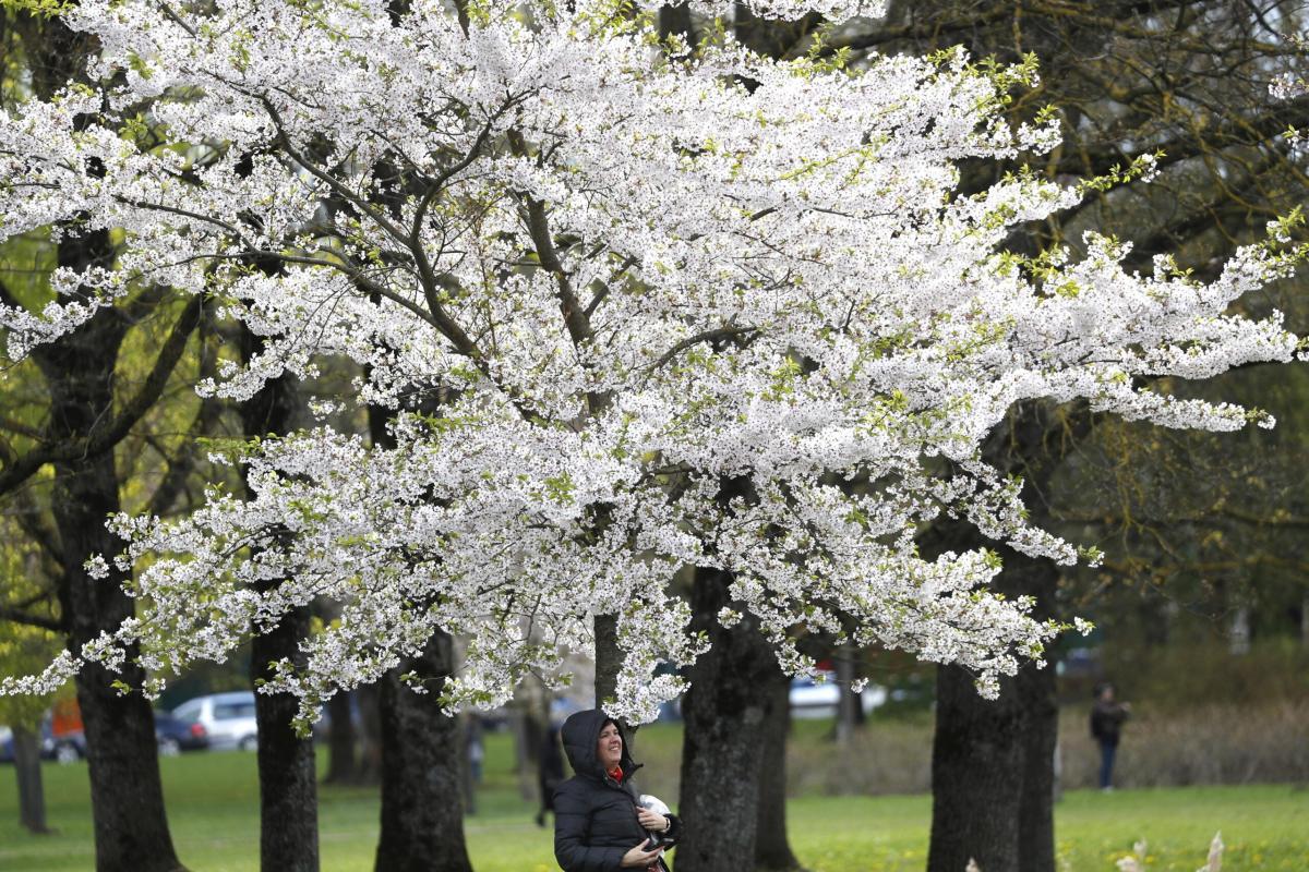 Ponte primo maggio, prosegue il boom di turisti in Italia: 77% di c…