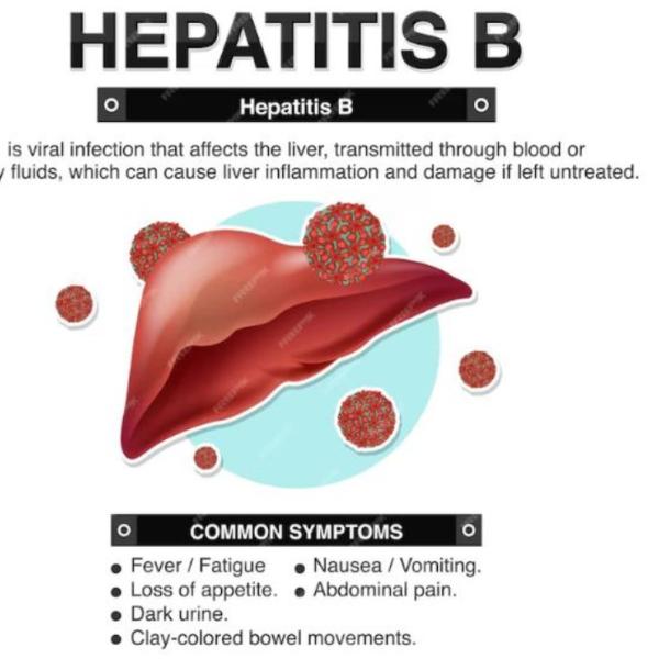 Come si trasmette l’epatite B? Sintomi, cura, cause, vaccino e guarigione della malattia